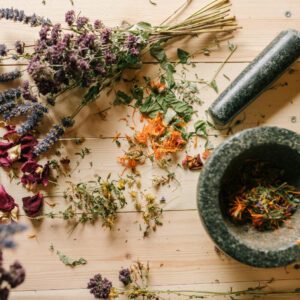 page produit naturopathie animale