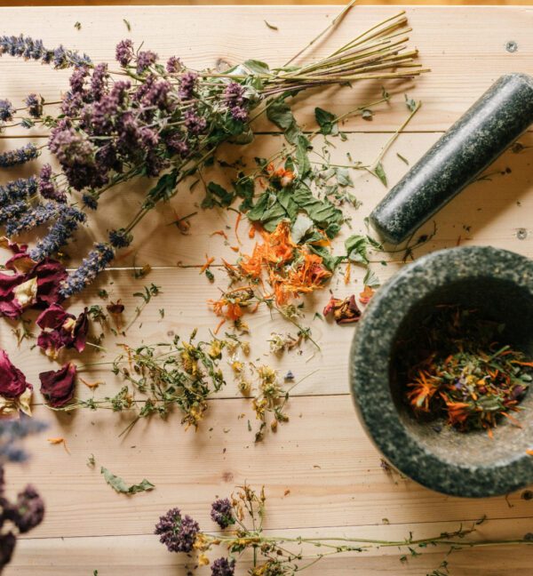 page produit naturopathie animale