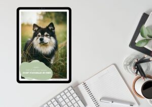 article guide accueillir un chien hajna