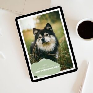 mockup guide accueillir chien hajna