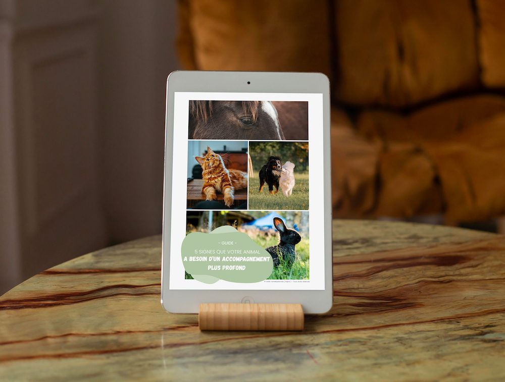 mockup-e-book-gratuit-hajna-1